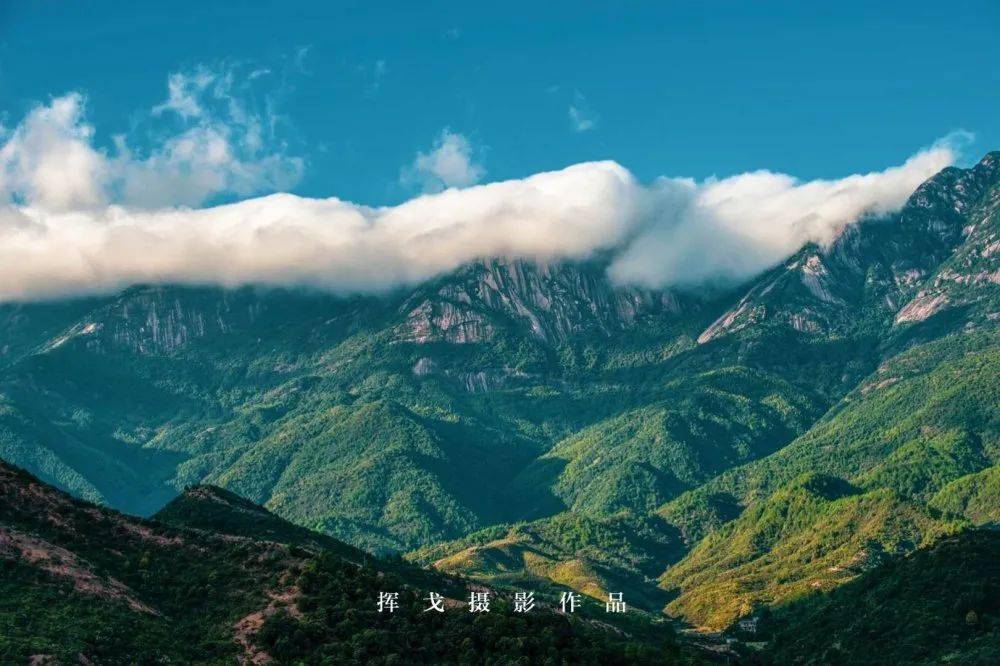 灵山县人口有多少2021_2021年灵山县县长