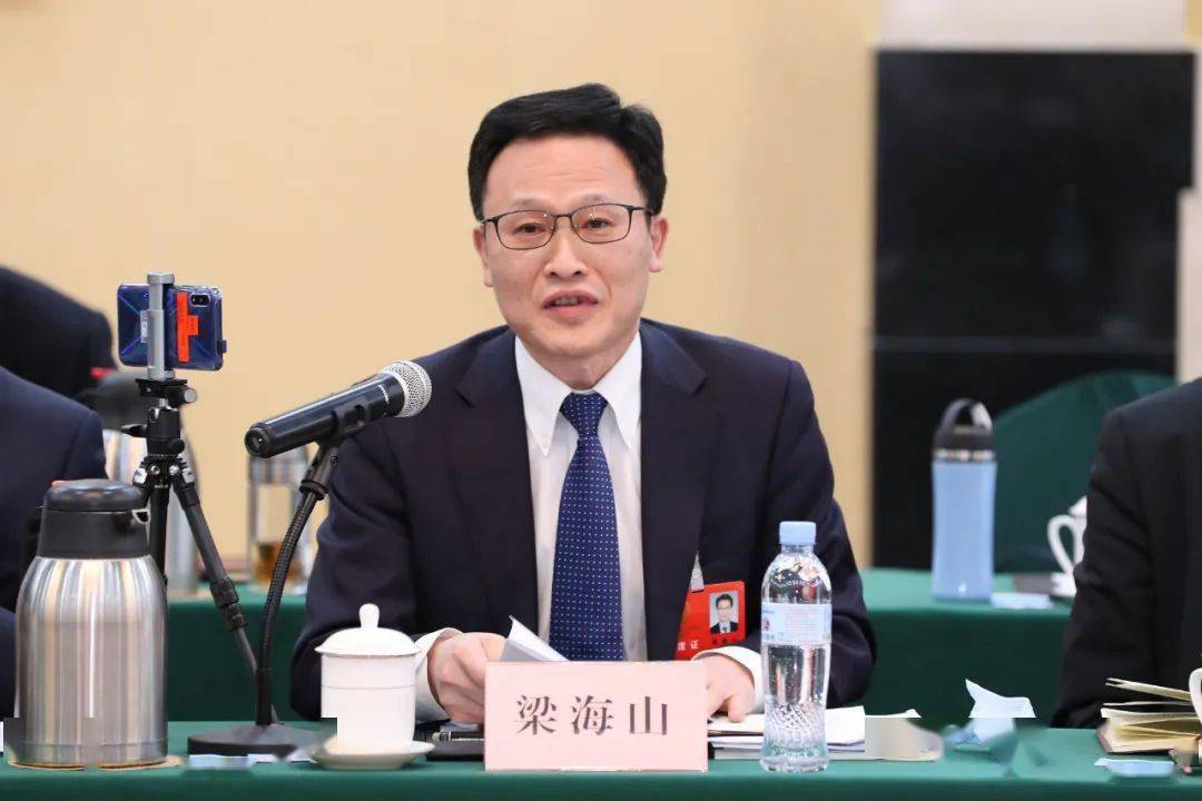 青岛代表团审议省政府工作报告,审查山东省"十四五"规