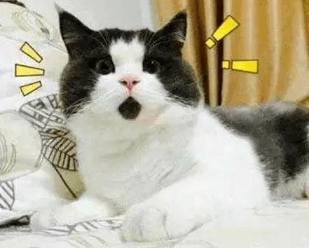 1d1f289851ea4d2882b1f6b819b53045.png