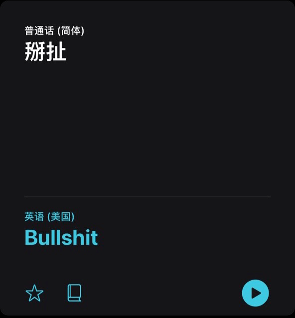 ios 14 翻譯 app 體驗:「瓜娃子」 也能翻譯_stupid