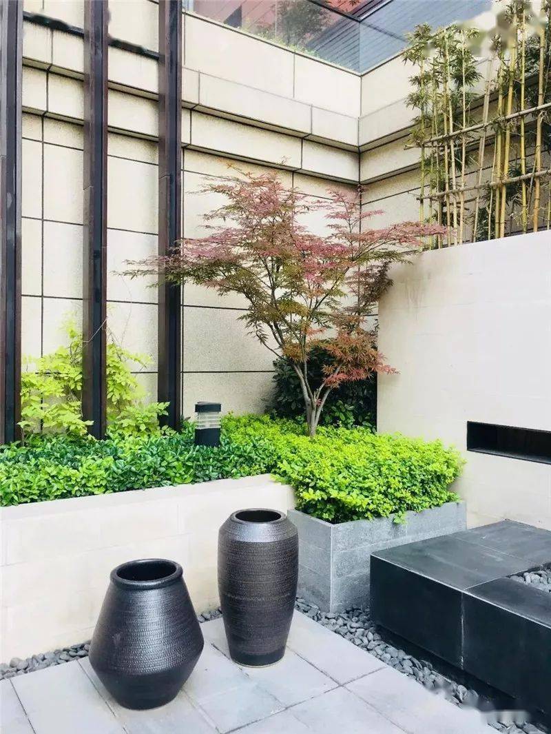 别致的花草盛放这自我,在柔和的阳光下,景观的一角,每一个角落都是