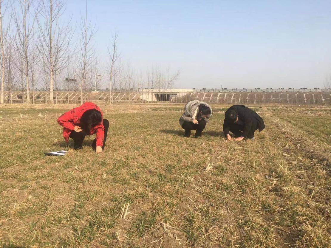 临沂市农业农村人口_临沂市农业学校图片