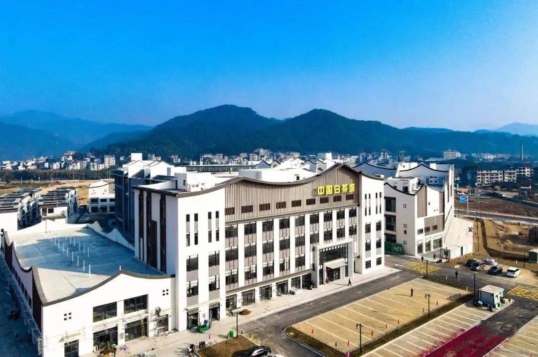 中国白茶城办公大楼正式启用_政和县