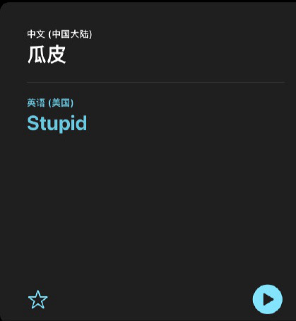 ios 14 翻譯 app 體驗:「瓜娃子」 也能翻譯_stupid