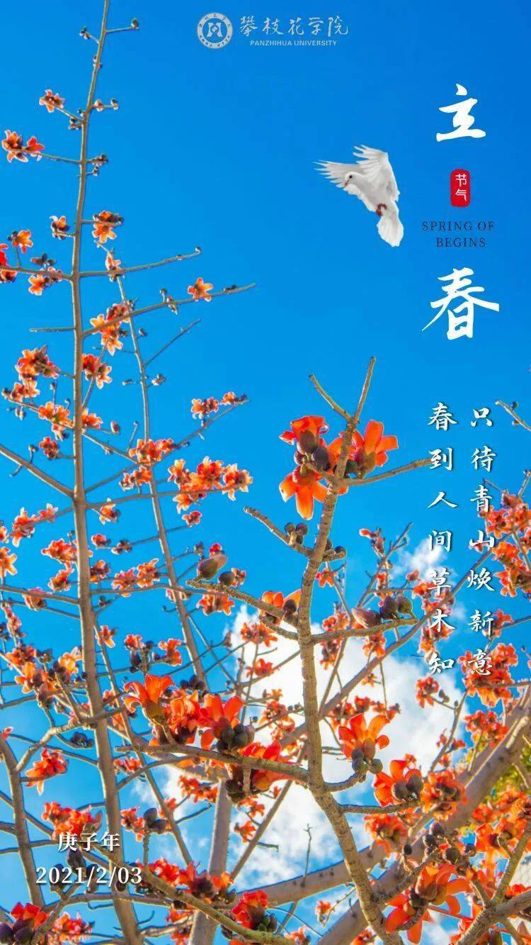 今日立春 | 春回大地 万象更新