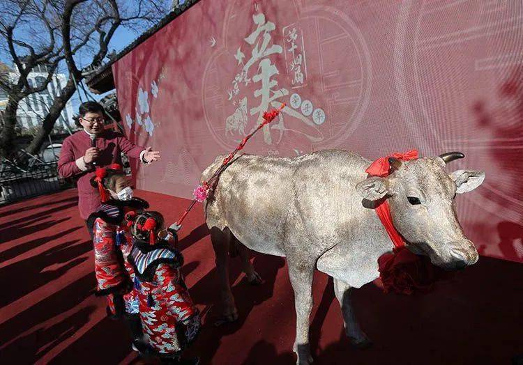 今天立春啦古观象台上鞭打春牛我们一起来迎春