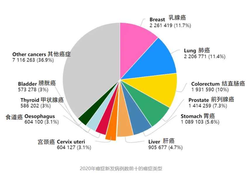 癌症总人口_菁准健康 如何从肺癌的诱发因素方面,来预防肺癌