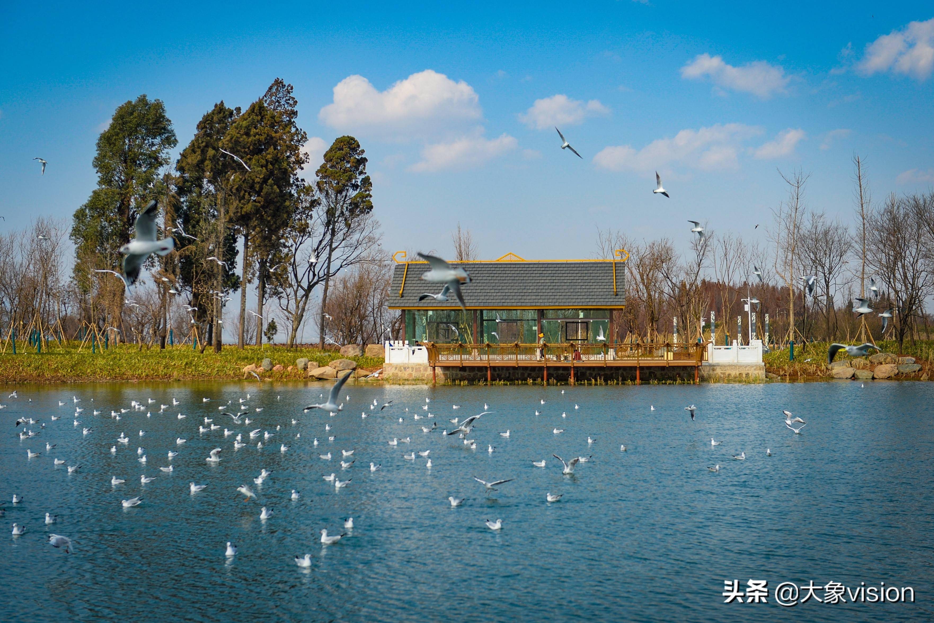 昆明湿地面积62403公顷 王官湿地公园冬日美景