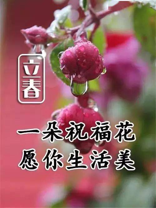 c53cfa6d625c40a1ba6140b0e0fd98de.jpeg