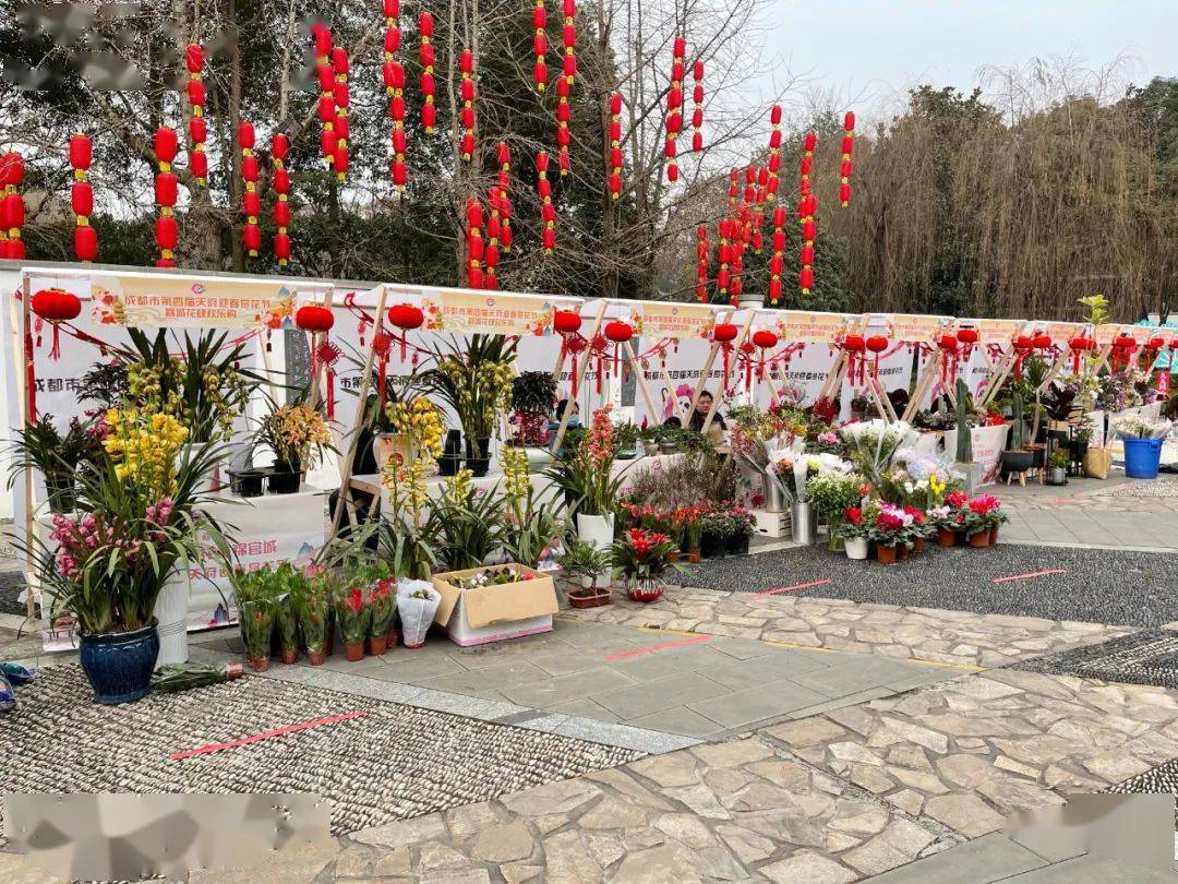 逛起来！成都天府迎春赏花节 “蓉城花肆欢乐购”活动今日启幕