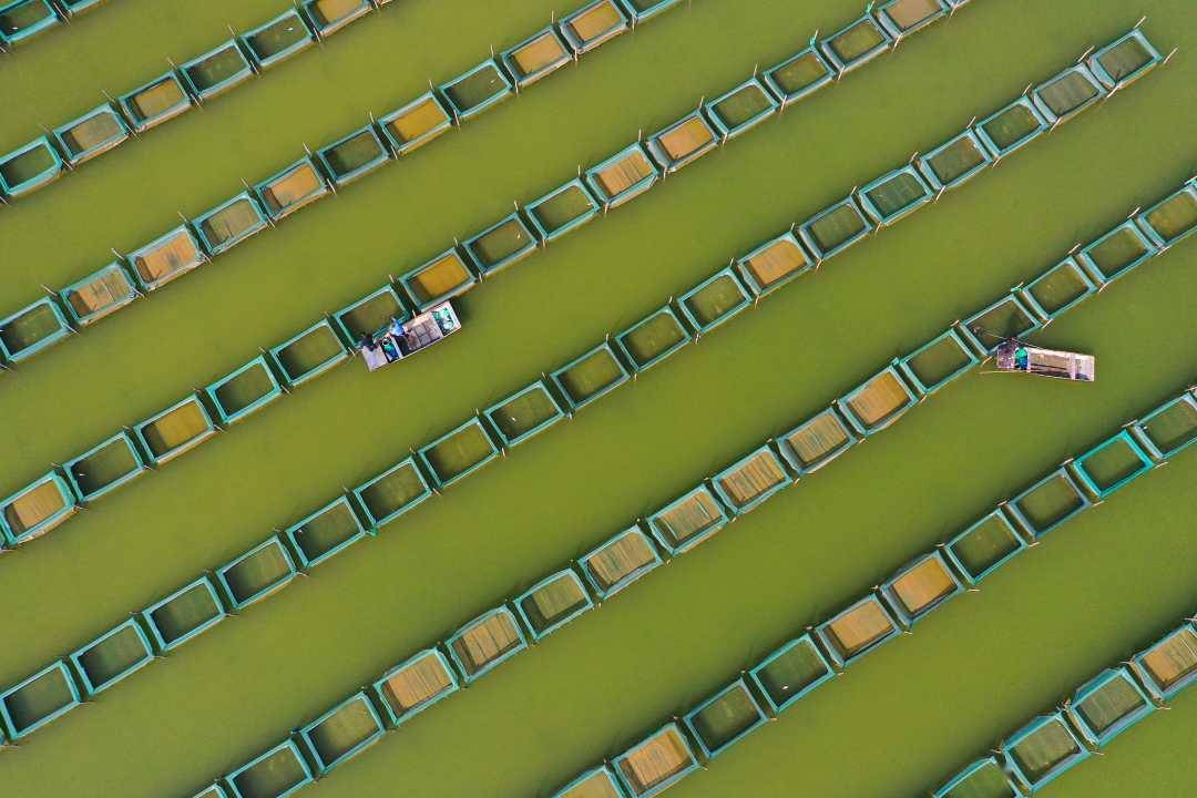 2021东乡gdp_2021新年快乐图片(2)