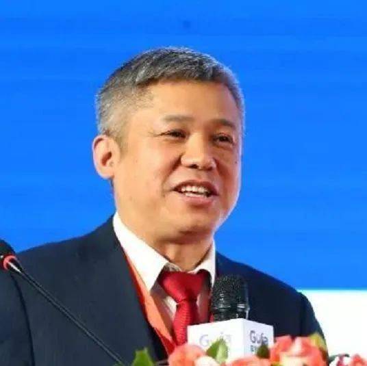 【广电总台】曾少军博士谈中国新能源企业如何走进东南亚