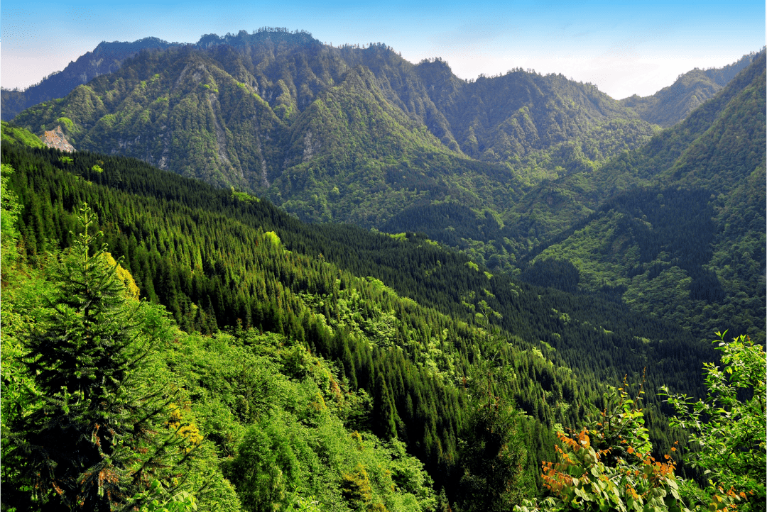 邛崃经济总量_邛崃天台山图片(3)