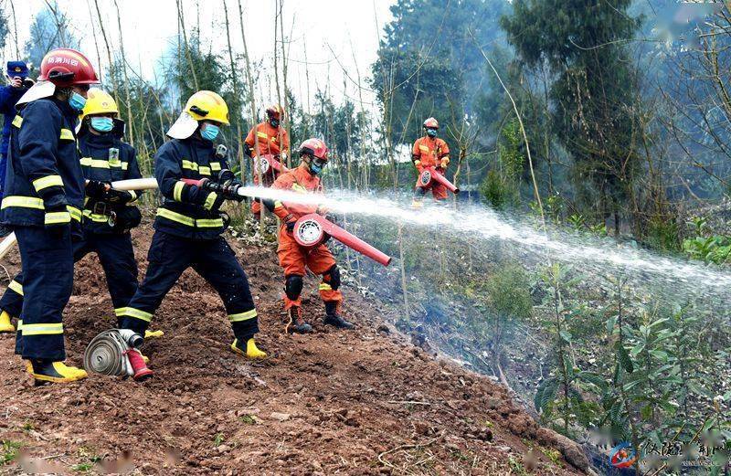 我县开展2021年森林灭火演练_防火