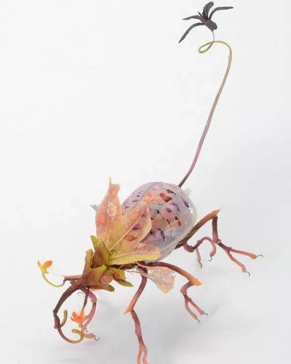 这昆虫是仿真手工的给我来一只太可爱了