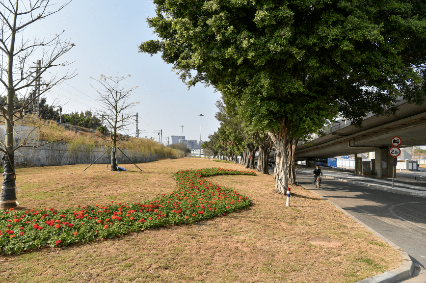 变了变了大坦沙双桥路景观大升级