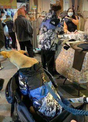 逛夜市時，狗子突然尷尬回頭，主人定睛一看：原來撞衫了！ 萌趣萌寵 第3张