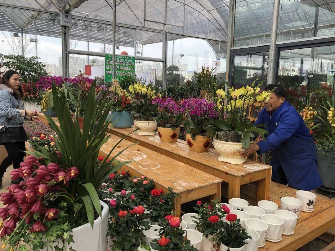 竞相绽放一派生机勃勃的景象走进花木中心馆内赶紧跟着镜头一睹为快吧