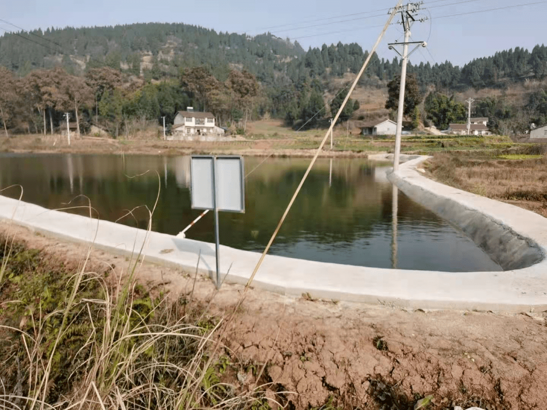 书村多少人口_博社村人口多少