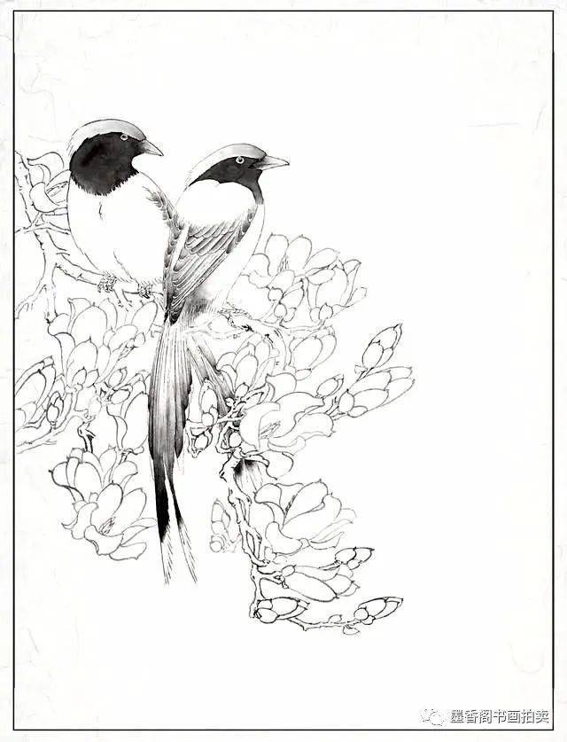 禽鸟工笔画教程分步骤讲解红嘴蓝鹊的工笔画法简单易学收藏