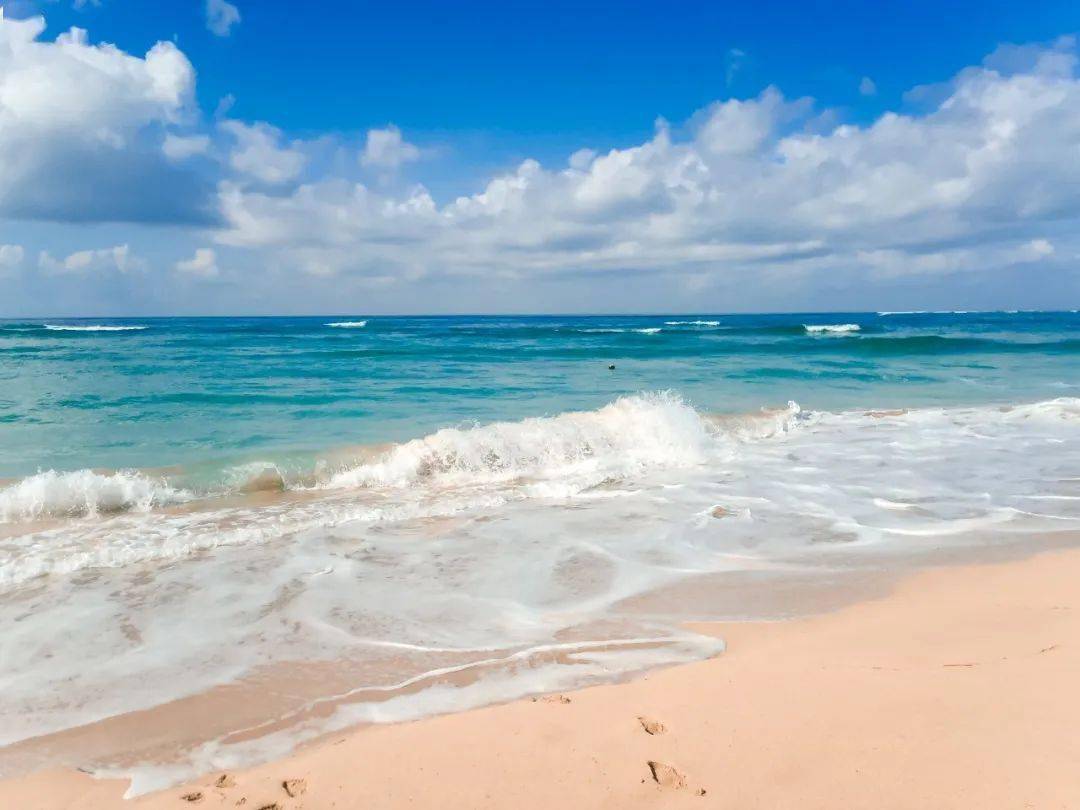 美术专业课丨看见海浪声