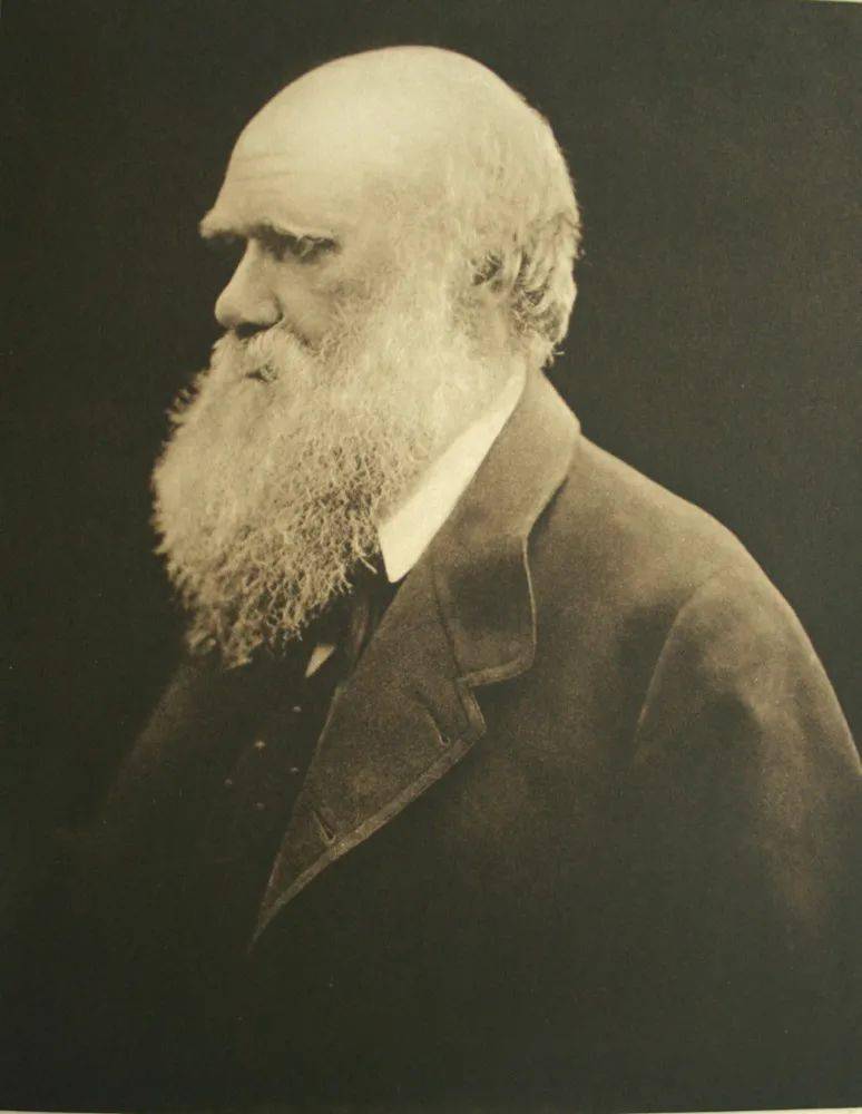 闲话摄影史5影史秘闻被星星耽误了的摄影术cto约翰赫歇尔爵士