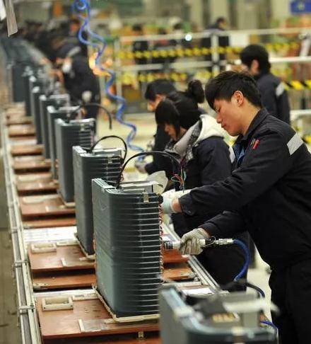 2020年开化县GDP_1983年开化县华南虎