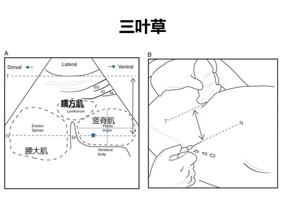 gdp初级教学视频_初级会计证书图片(3)