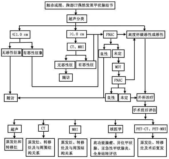 甲状腺结节初诊及术前影像检查流程图[1 paschou sa,vryonidou a,go