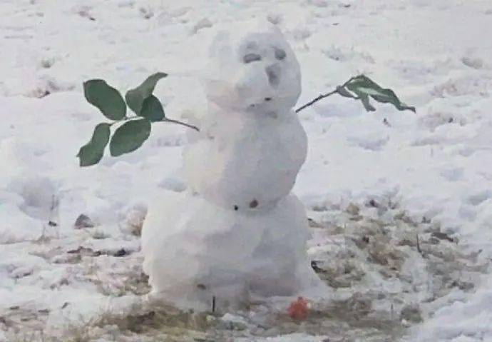 真的有小兔子把雪人的鼻子吃了！小兔子能有什麼壞心思呢？ 萌趣萌寵 第4张