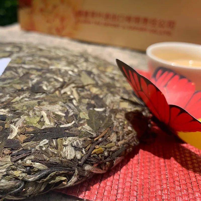 茶界品鉴102▏2019年中茶蝴蝶盛世牡丹白茶饼5607357g饼