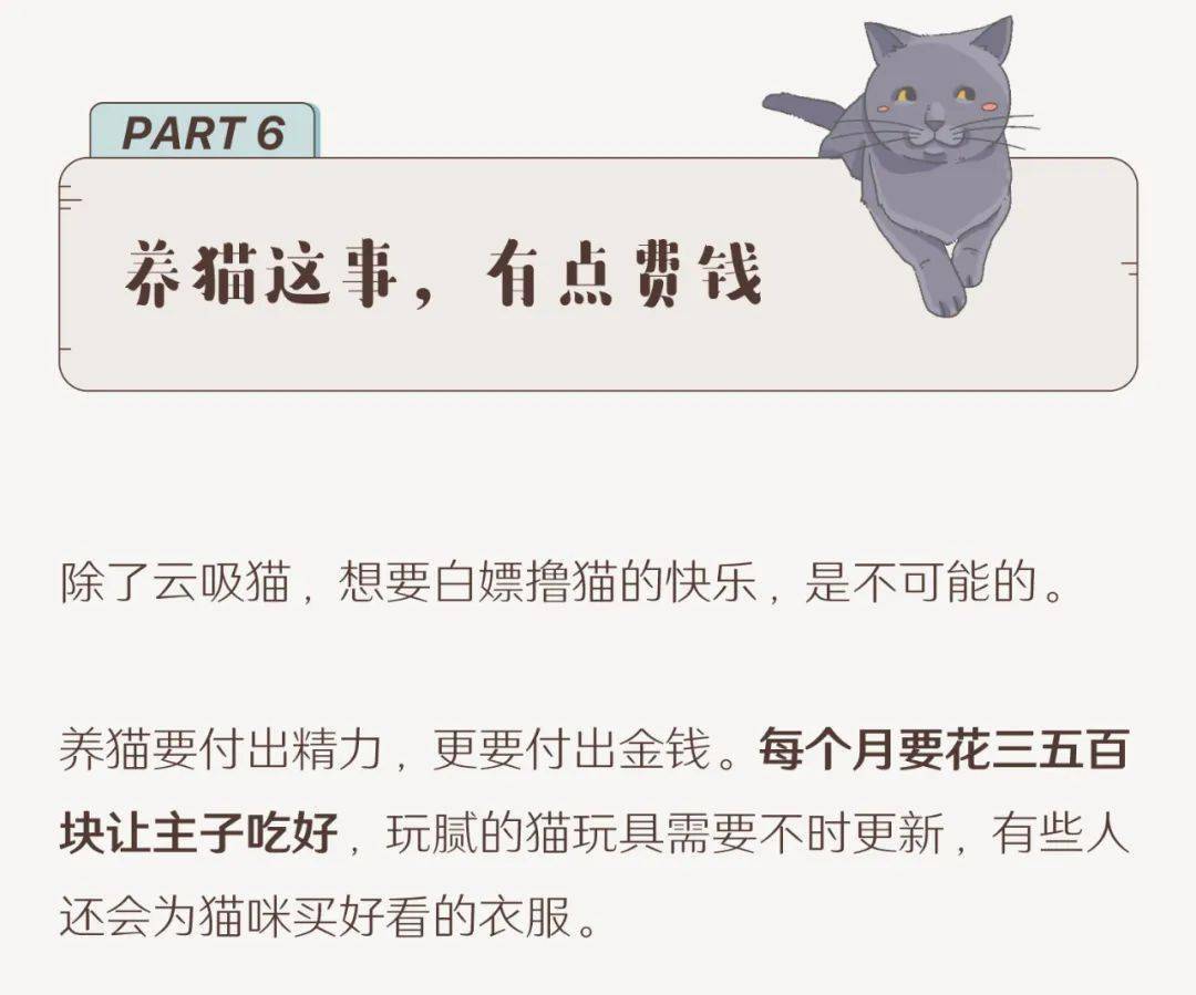 城镇养猫人口_人养猫过敏出红疹图