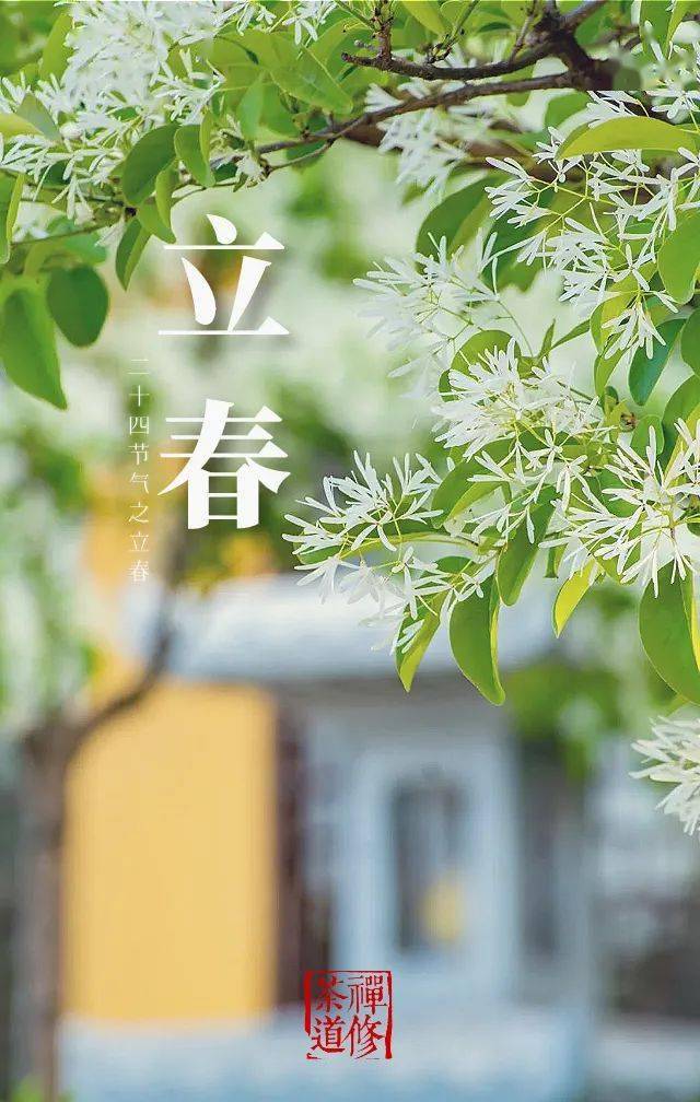 节气 万木生芽当春即发 进行