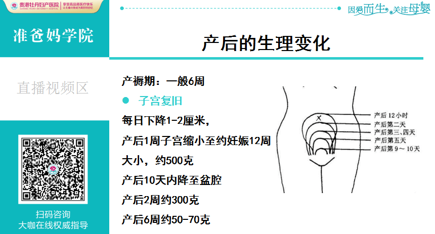 c239d2c1053d40baa13066f4489f5634.png