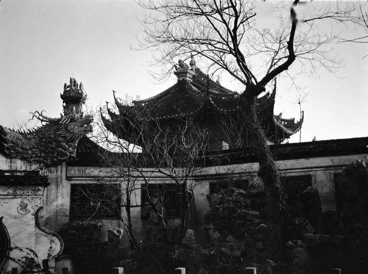 西区纪事你能认出这张老照片是愚园路的哪一段吗