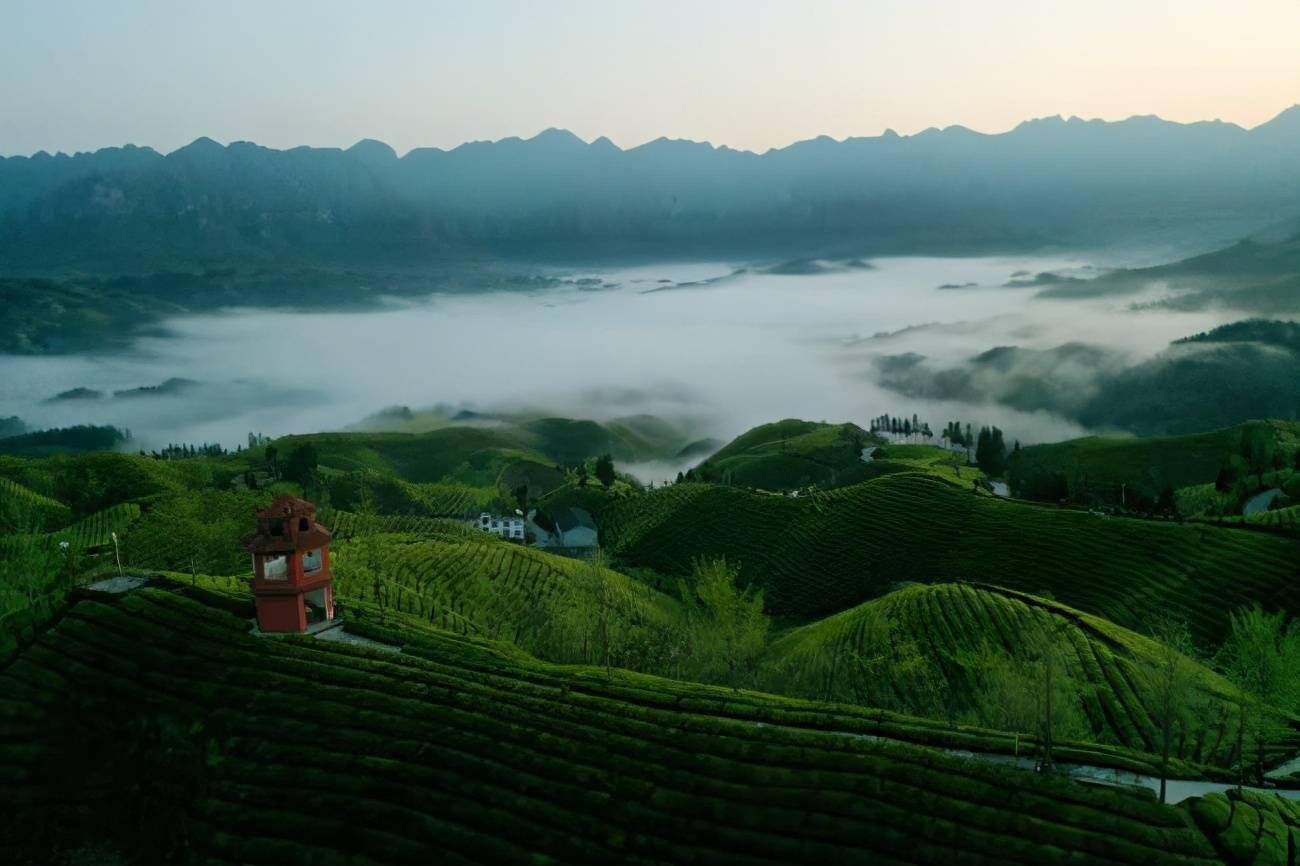 美轮美奂的世界茶谷鹤峰木耳山茶场美图