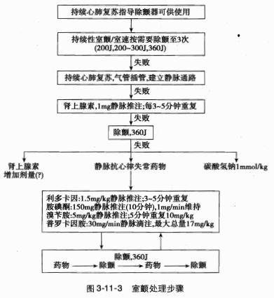 心脏骤停与心脏性猝死