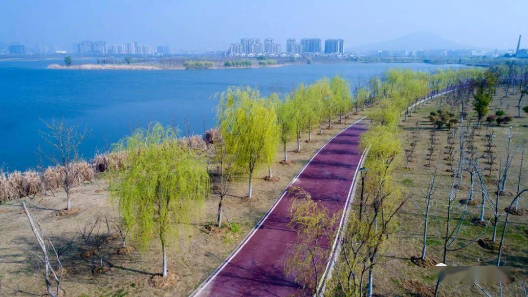 肥西新图景乡村风景美如画