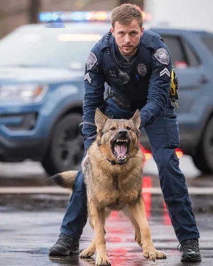 兇猛警犬下班之後，居然愛在家帶孩子，主人：它比媽媽還溫柔！ 萌趣萌寵 第1张