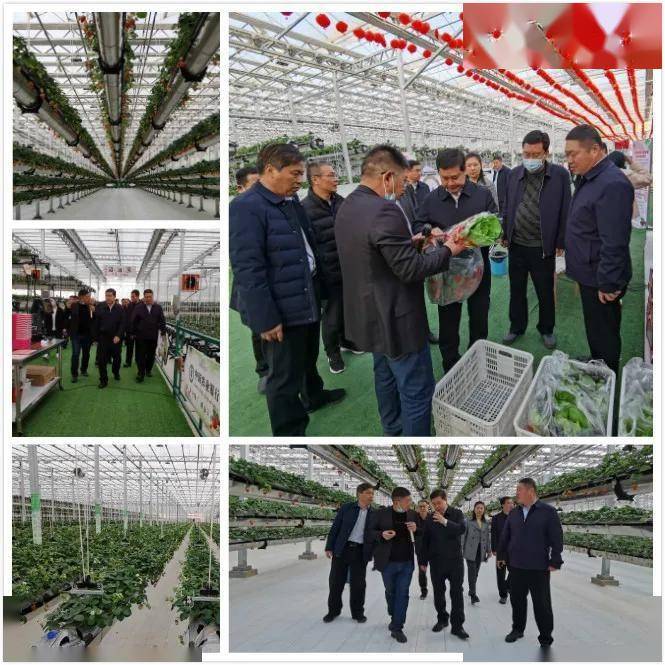 管佃如,刘波分别介绍交易会暨菜博会筹备情况会上,王康亮听取了第九届