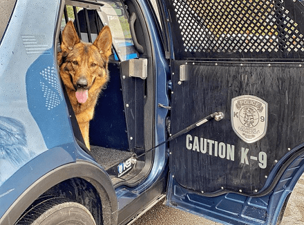 兇猛警犬下班之後，居然愛在家帶孩子，主人：它比媽媽還溫柔！ 萌趣萌寵 第9张