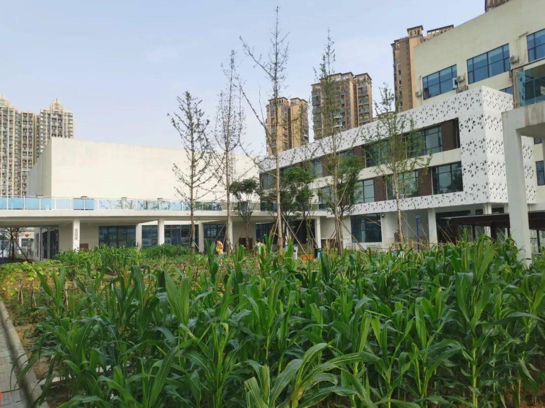 成都市龙泉驿区向阳桥中学(龙泉中学附属初中)2021届在职优秀教师招聘