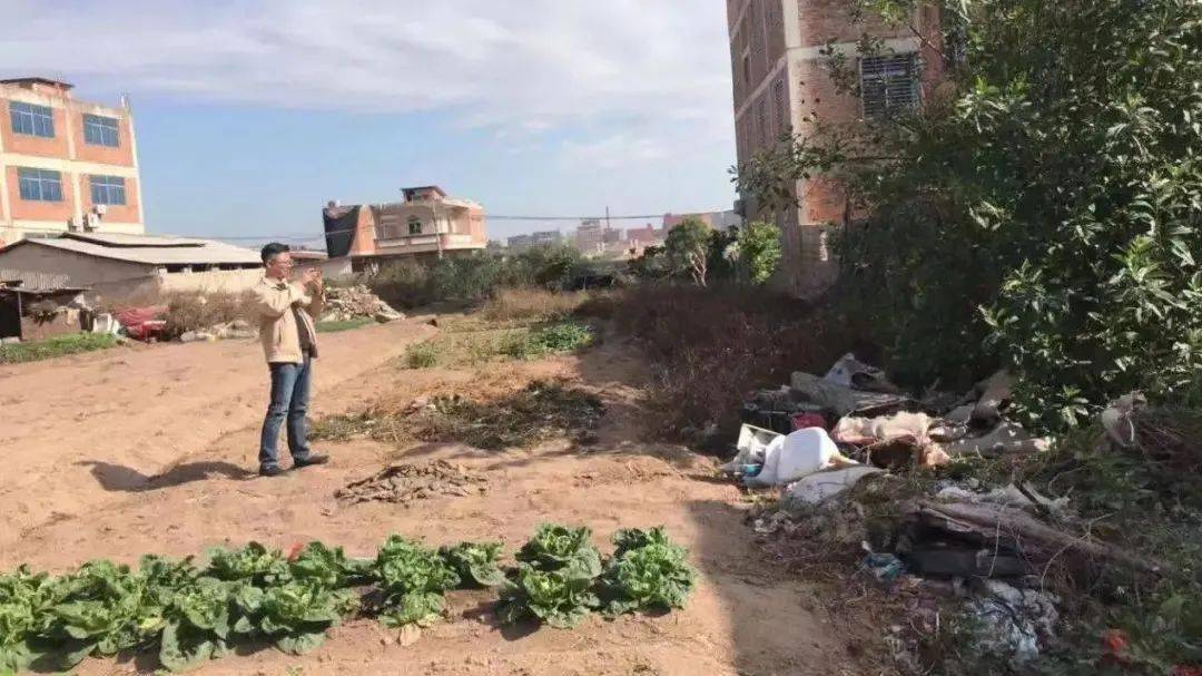 罗山街道居住人口_晋江市罗山街道规划图