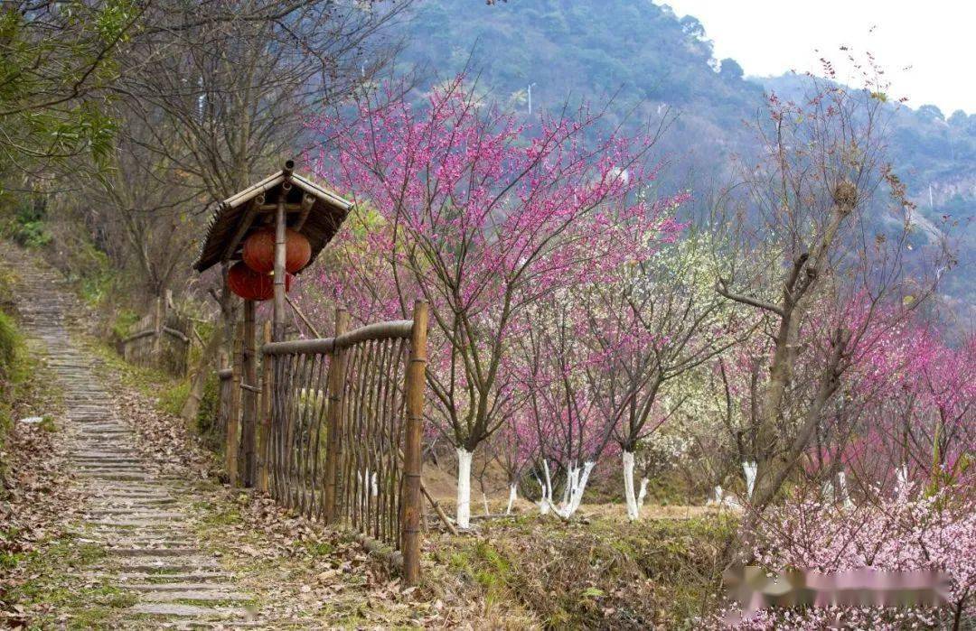 梅峰公园坐落在金乡镇西门外梅峰村.