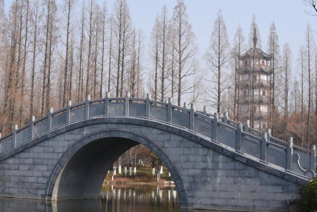 桃花岛二十四桥那些七言诗_邳州