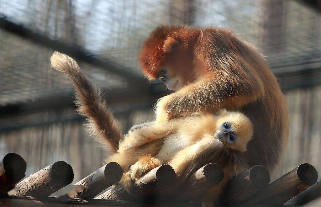 江苏扬州阳光明媚动物尽享日光浴