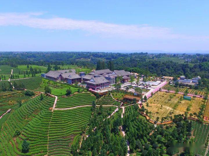 康养新城,熊猫新城"四个新城"建设,通过产城融合,推动中心城区加快