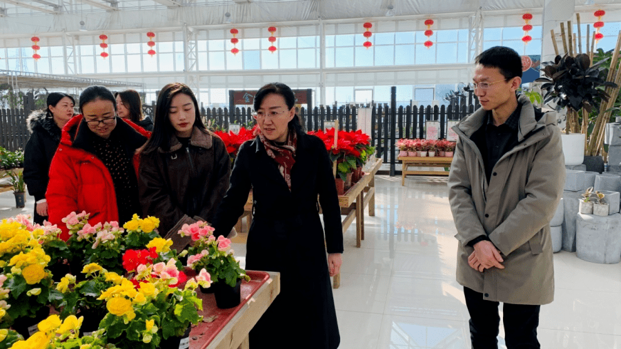 王洋副主任调研指导商贸文化旅游市场供应保障情况