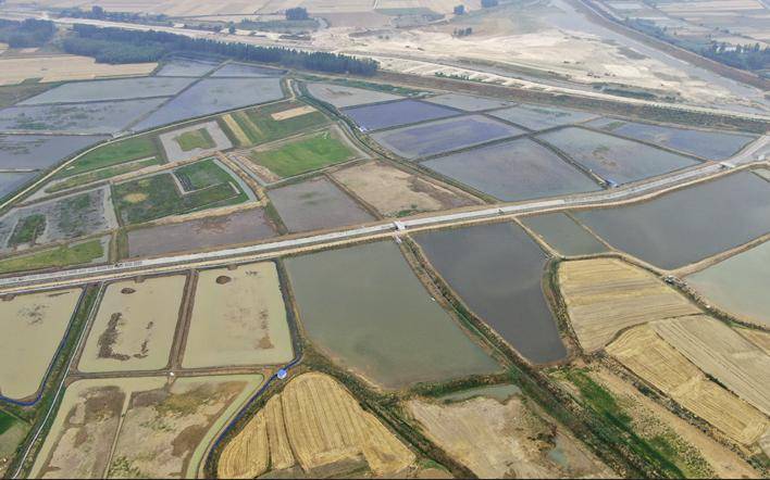 凤阳板桥镇鸟瞰图图片