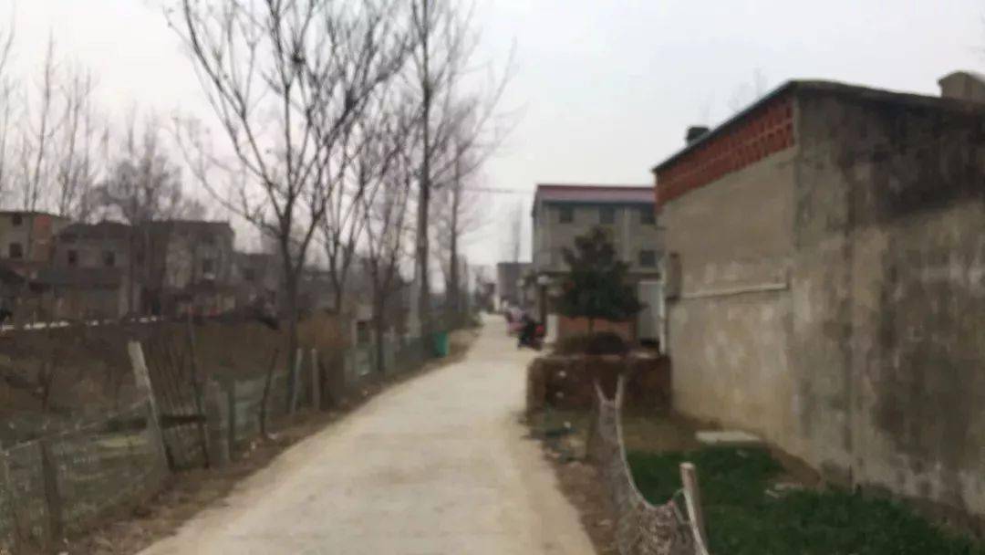 汝南县多少人口_汝南县规划图(3)